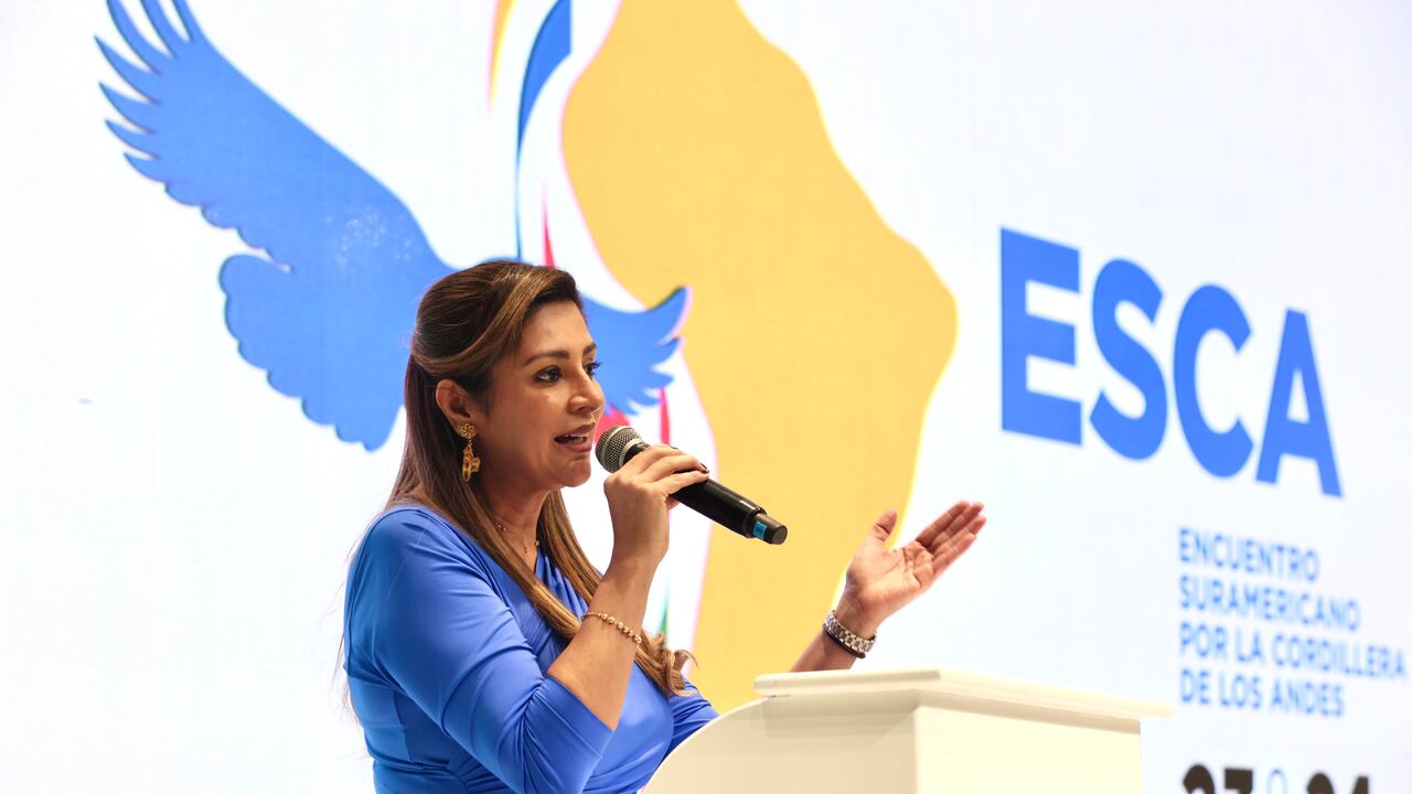 Gobernadora del Tolima, Adriana Matiz.