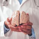 La epilepsia está relacionada con múltiples causas. Puede haber razones estructurales, es decir, lesiones en el cerebro que como manifestación producen una crisis epiléptica.