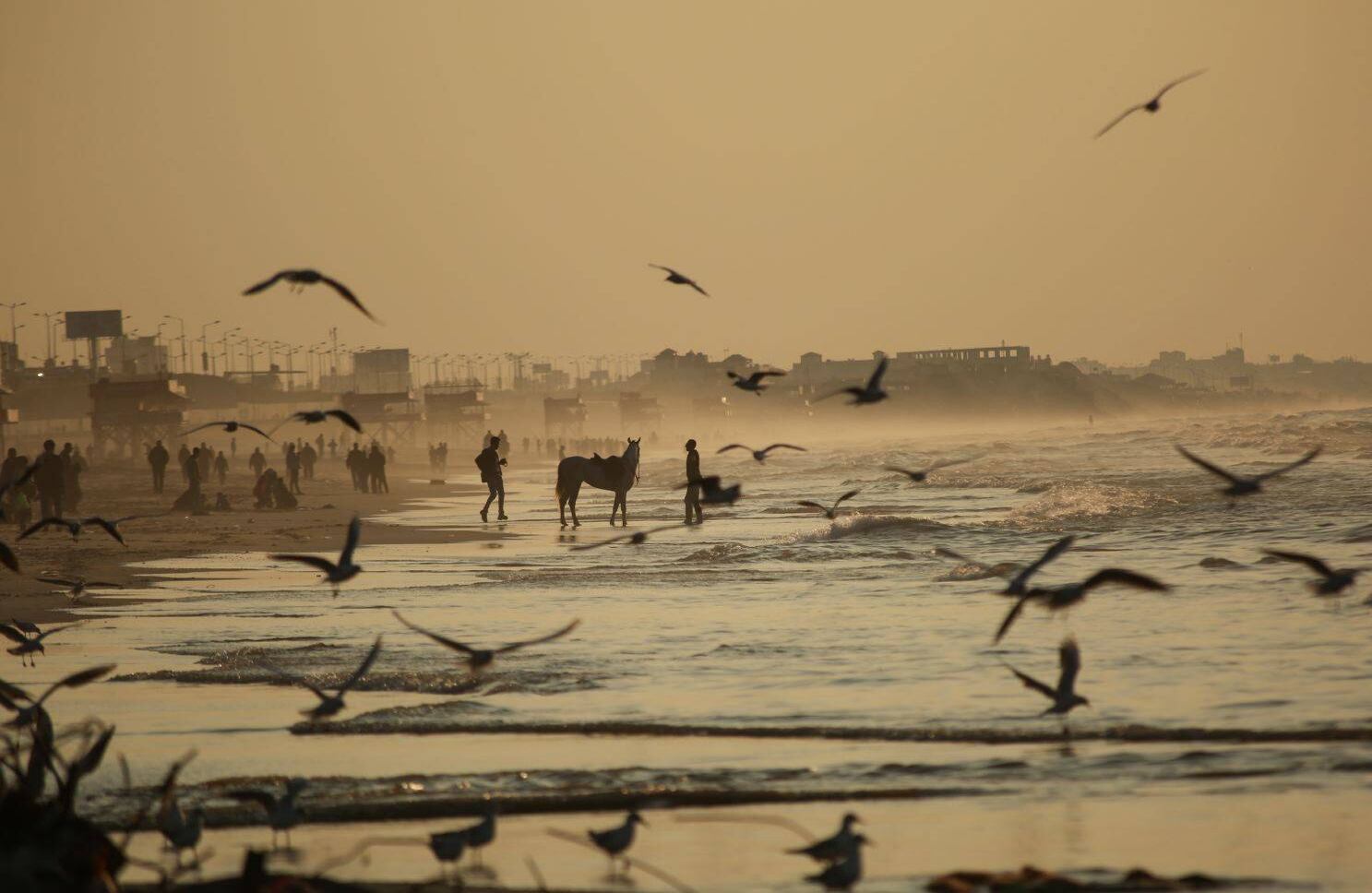 GAZA: Las aves vuelan sobre la playa de Gaza durante una puesta del sol en la ciudad de Gaza, Gaza el 7 de enero de 2018. (Hassan Jedi - agencia de Anadolu)