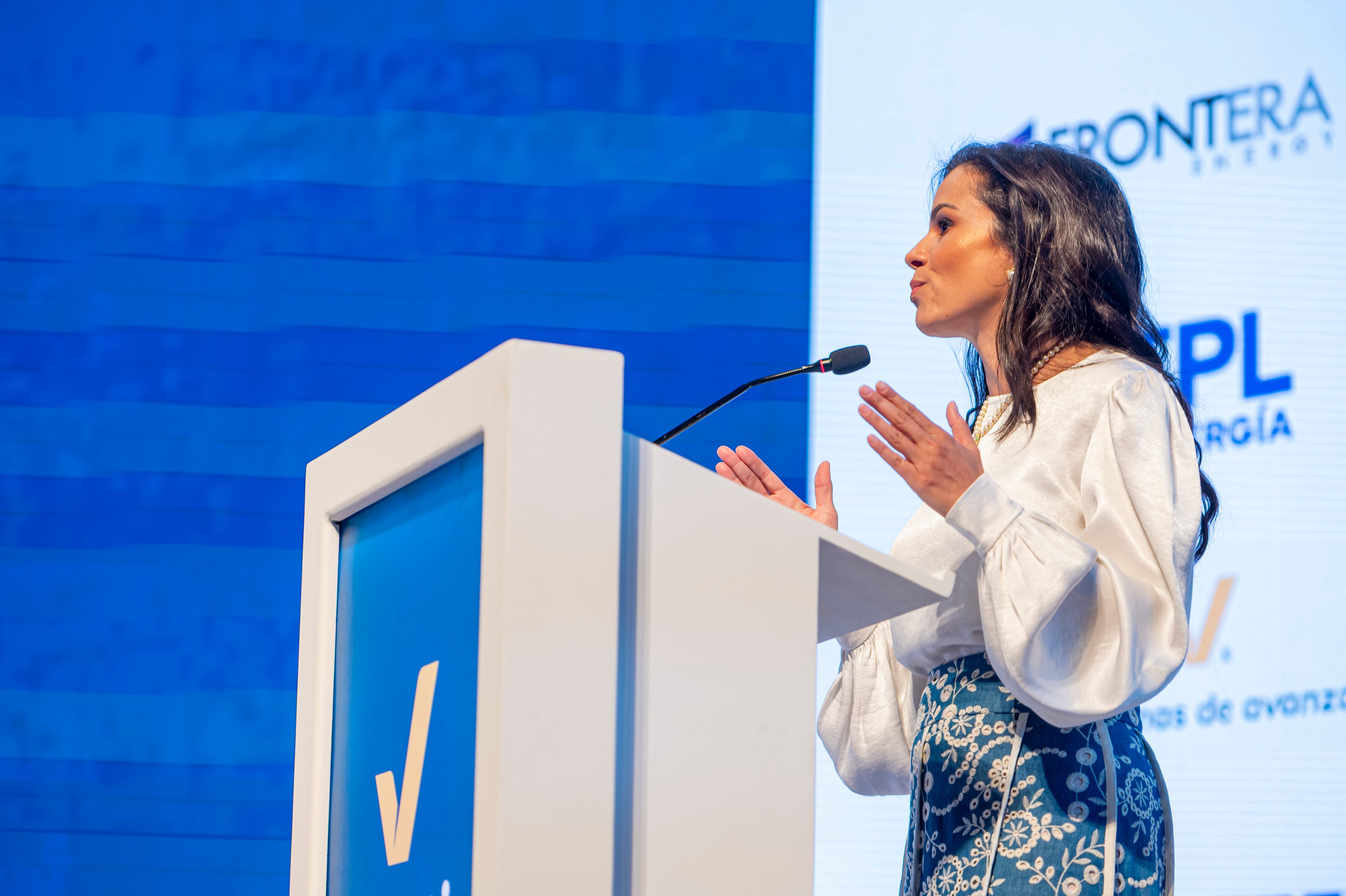 Luz Stella Murgas, presidente de Naturgas, se refirió al futuro del abastecimiento de gas en Colombia.