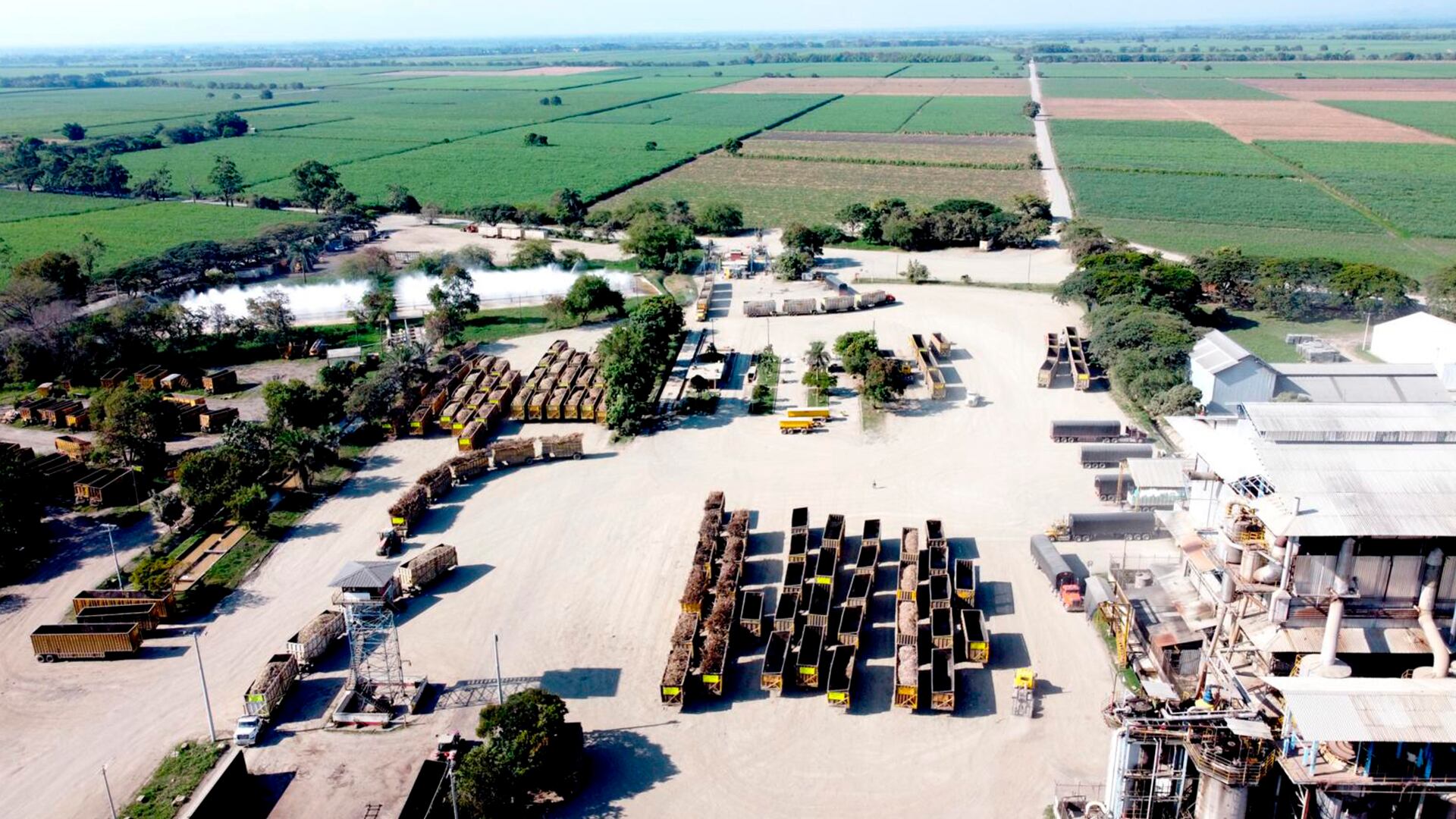 Contenido Riopaila, Viva la Caña, Semana Sostenible