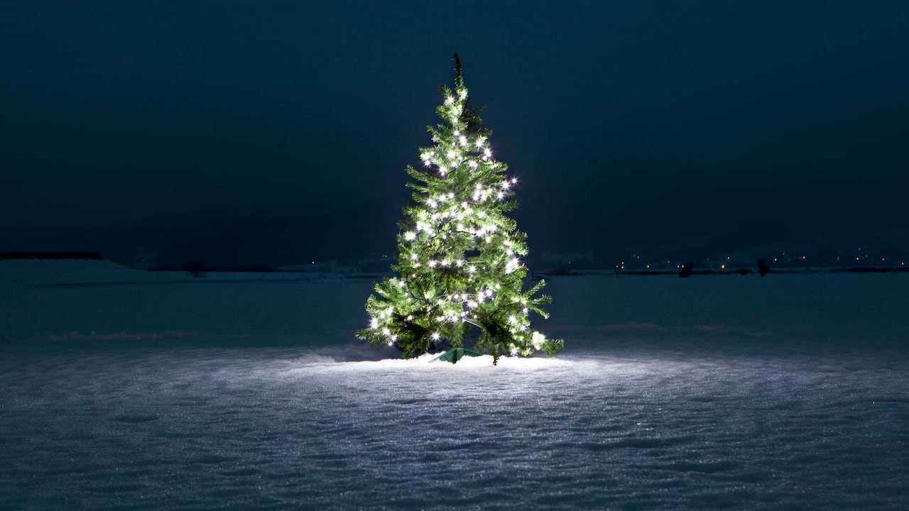 Foto de referencia de un árbol de Navidad