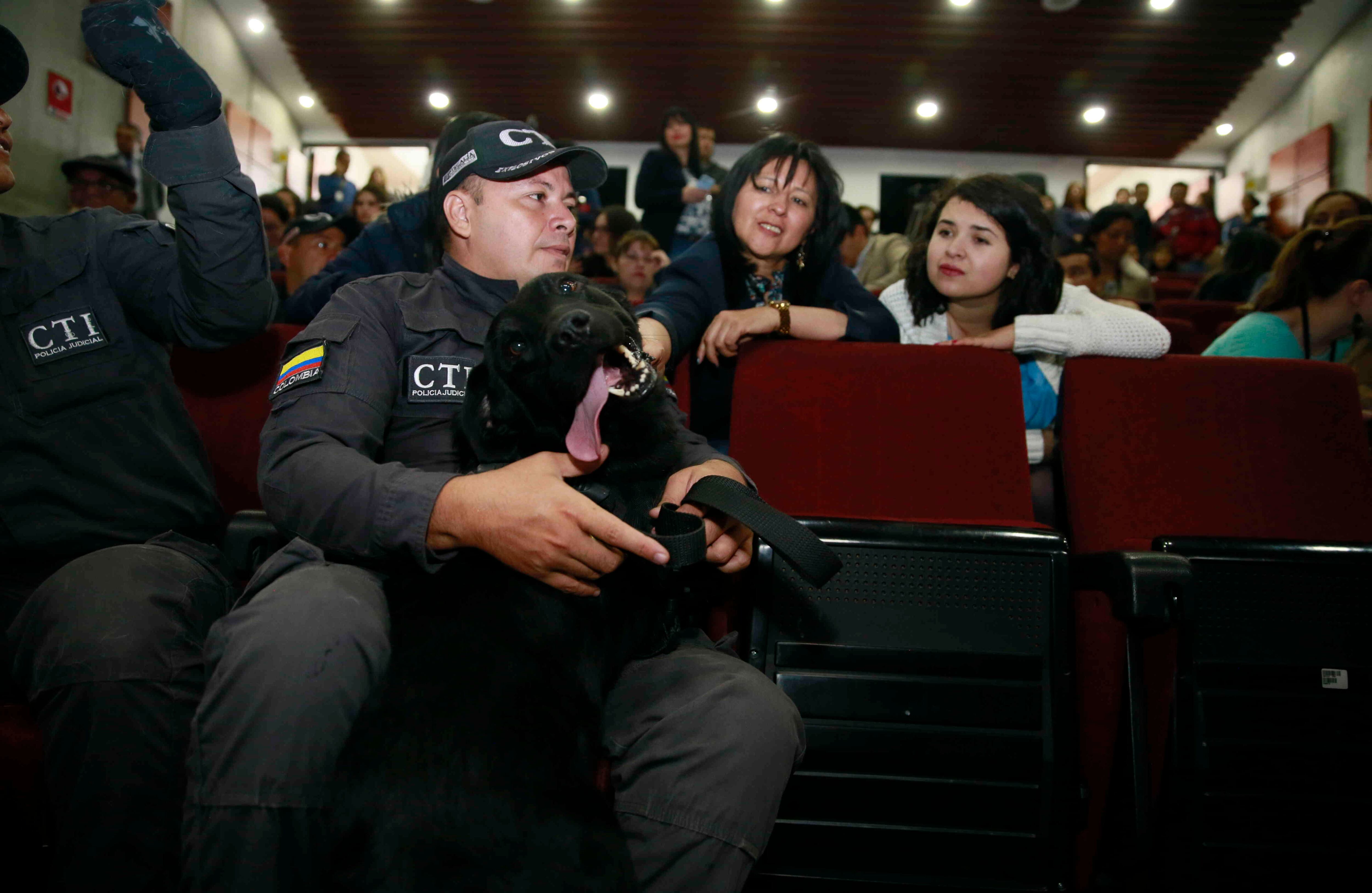  Negra, una canina que acumula varios golpes al narcotráfico en el Cauca.