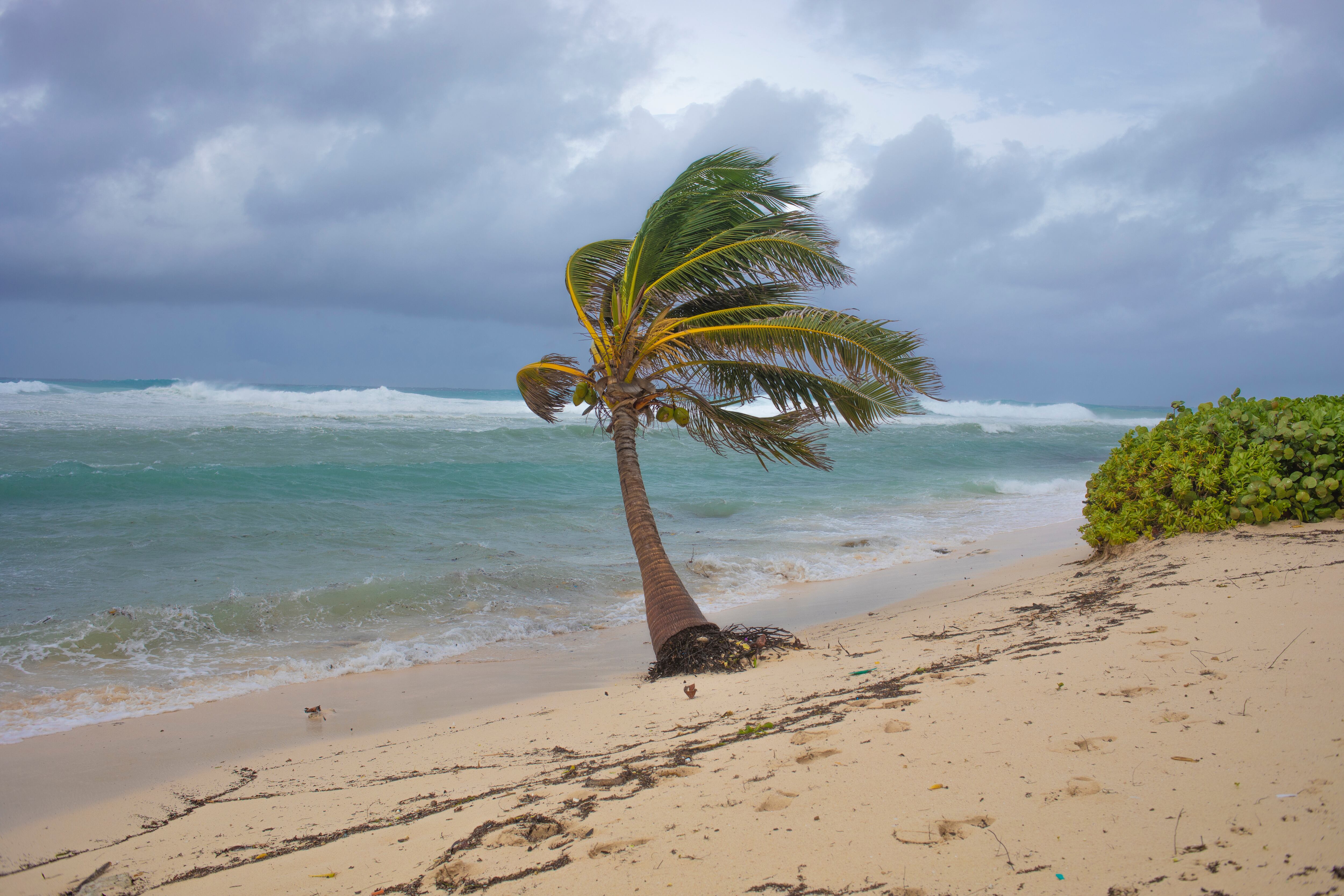 Autridades alertan sobre mar agitado y alto oleaje