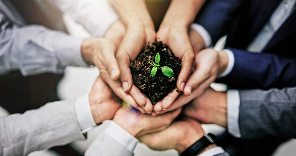 Esta empresa no solo trabaja por mejorar la salud del país, también contribuye con la sostenibilidad 