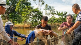 Proyecto de producción de pirarucú y cachama en Villagarzón, Putumayo.