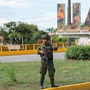 El dispositivo contempla personal entrenado en operaciones especiales, antiexplosivos, inteligencia, tránsito, turismo, unidades motorizadas, artillería, vigilancia aérea con aeronaves tripuladas y no tripuladas, evacuaciones aeromédicas y capacidades fluviales, con presencia tanto en Cali como en su área metropolitana.