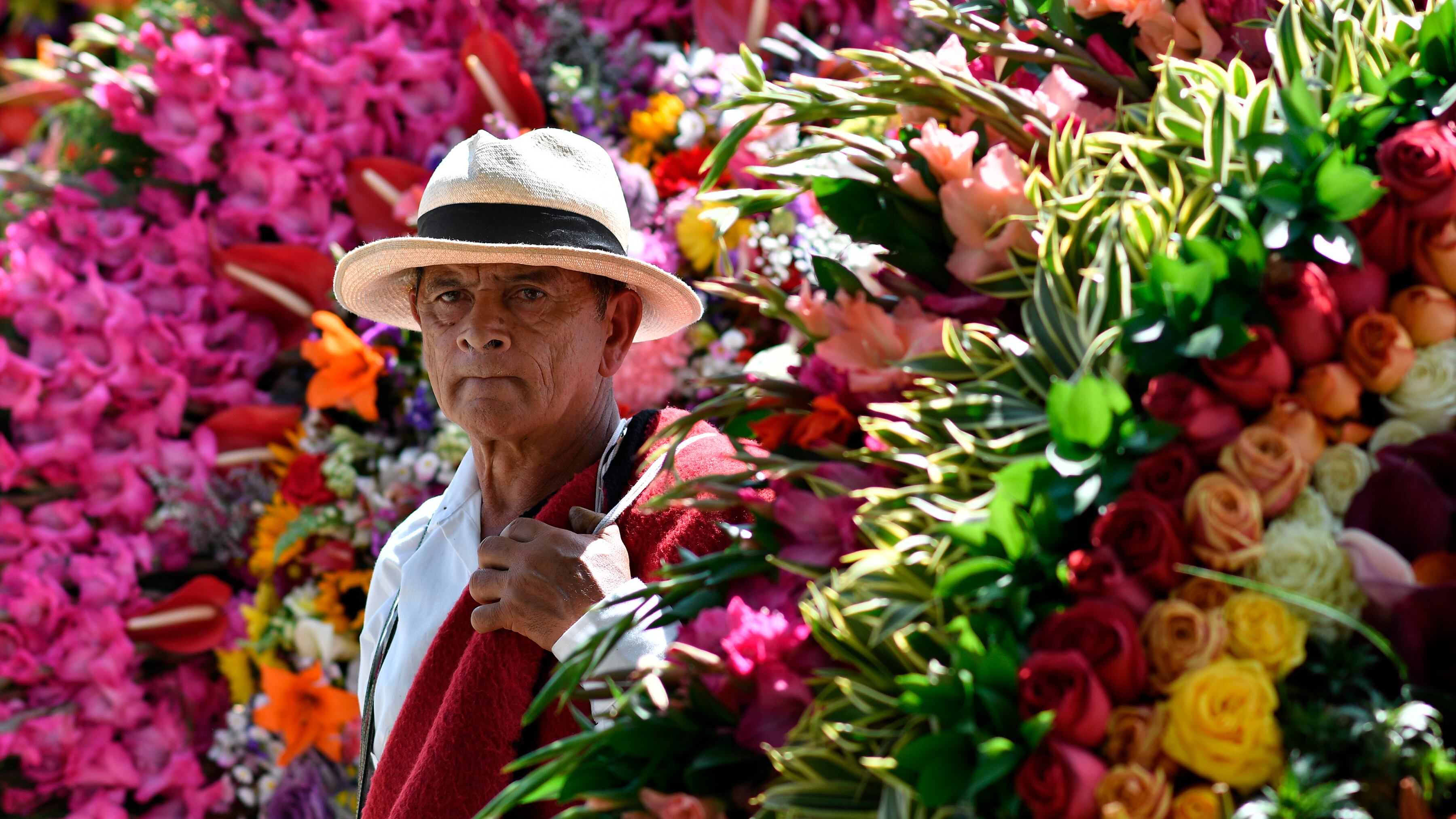 Después de un largo aislamiento en sus fincas en el municipio  de Santa Elena, Antioquia, los silleteros volvieron al desfile presencial este 2021.