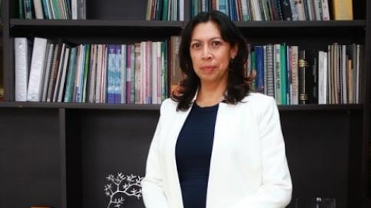Yolanda González, directora del IDEAM, advierte sobre el panorama climático para el mes de diciembre.