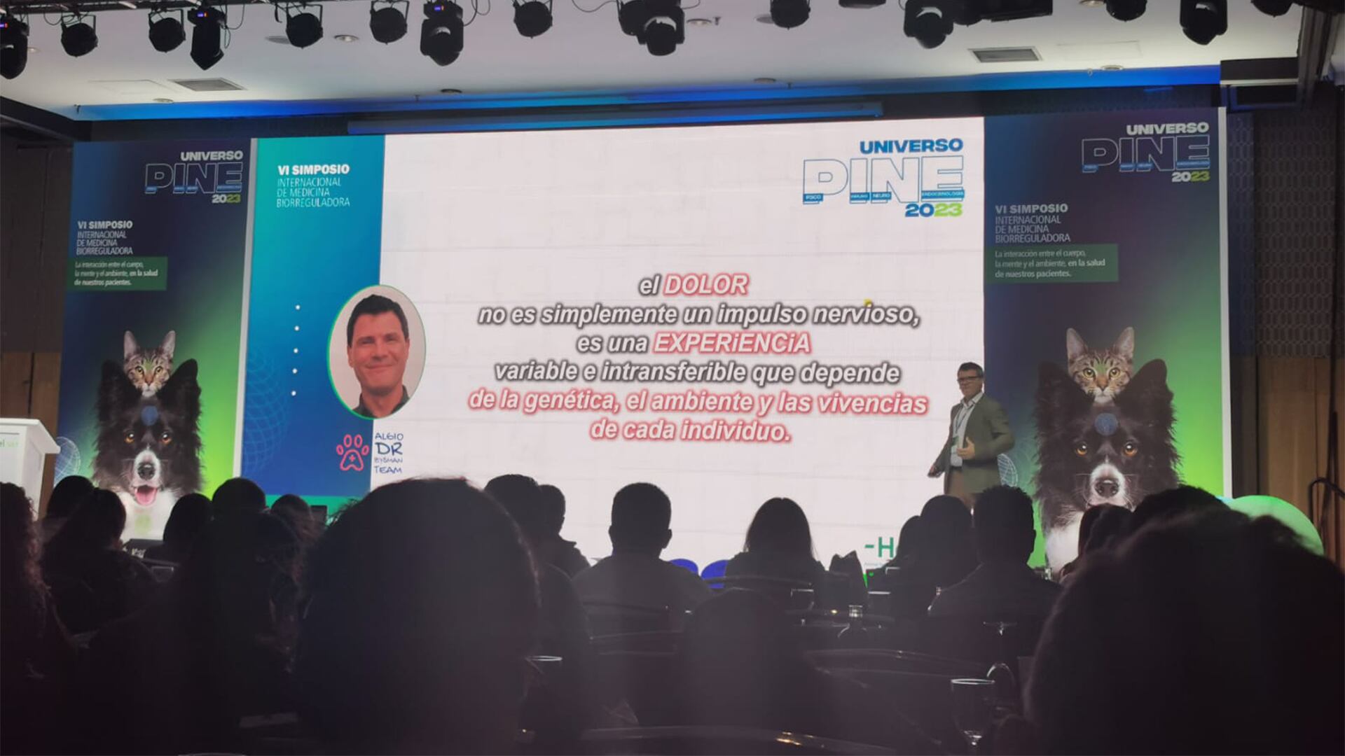 ¿Qué tan importante es la salud emocional de las mascotas?