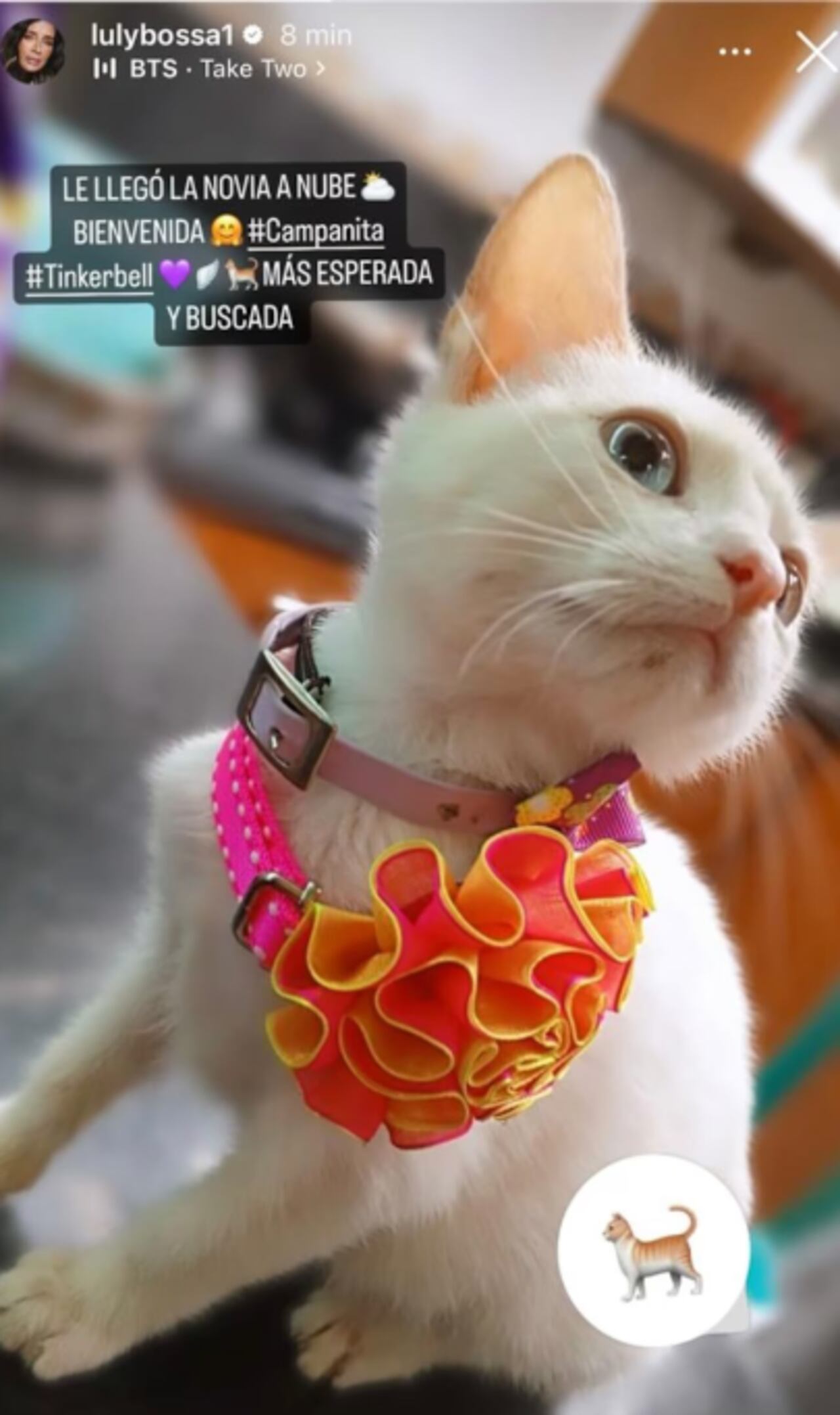 Luly Bossa le dio la bienvenida al nuevo integrante de su familia.