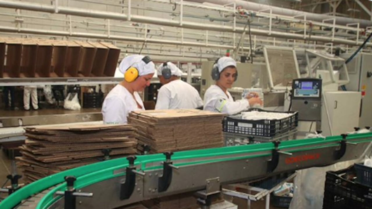 ¿Quebró o es un éxito? Así va la empresa que redujo jornada laboral a cuatro días