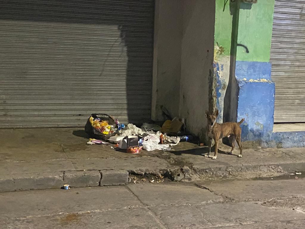 Las basuras se apoderaron las las vías del Centro Histórico.