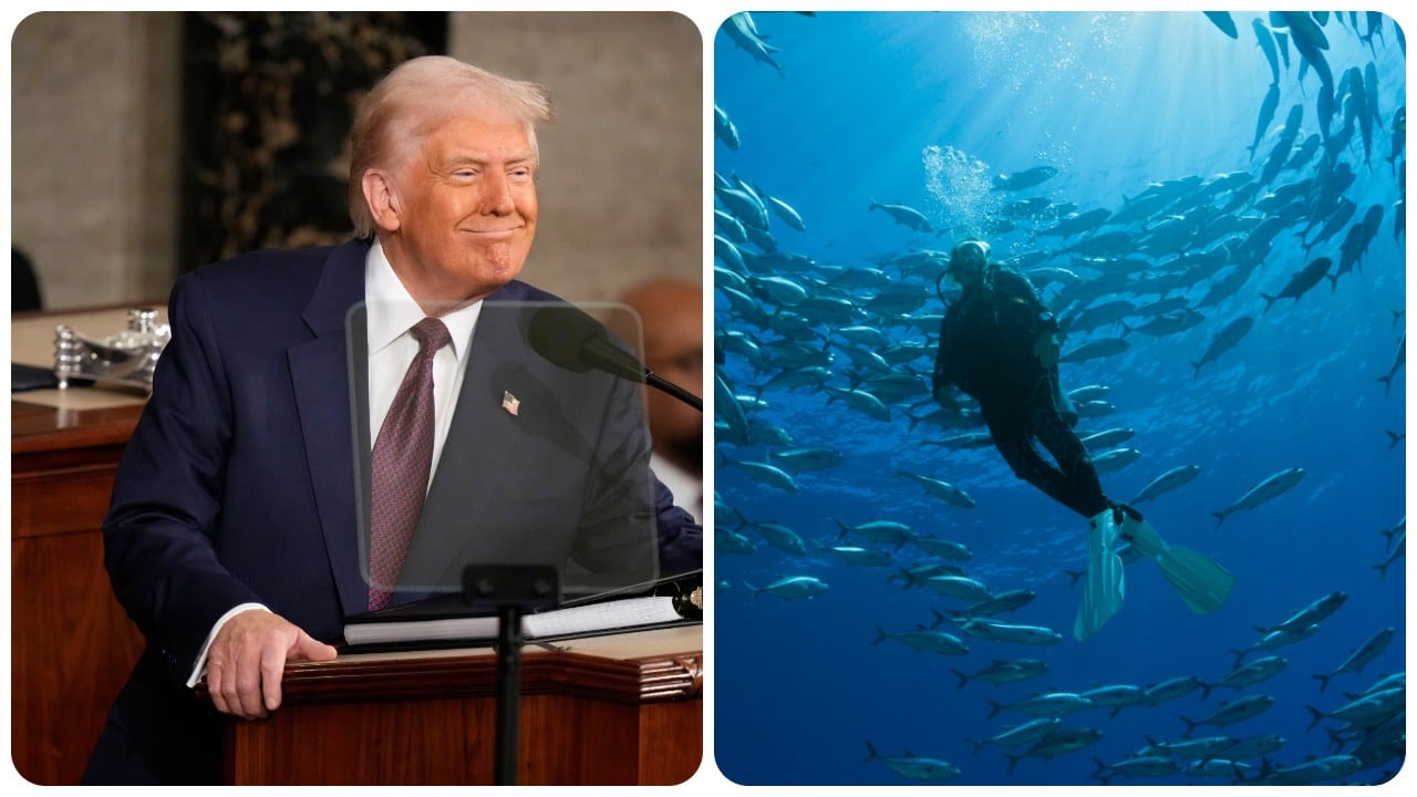 El presidente de las islas Palau lo invitó a bucear