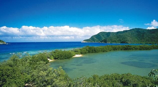 La Corte ordenó revisar la decisión de 1984 que declaró baldías las Islas del Rosario. Si esto sucede, los ocupantes tendrían que entregar esas tierras.