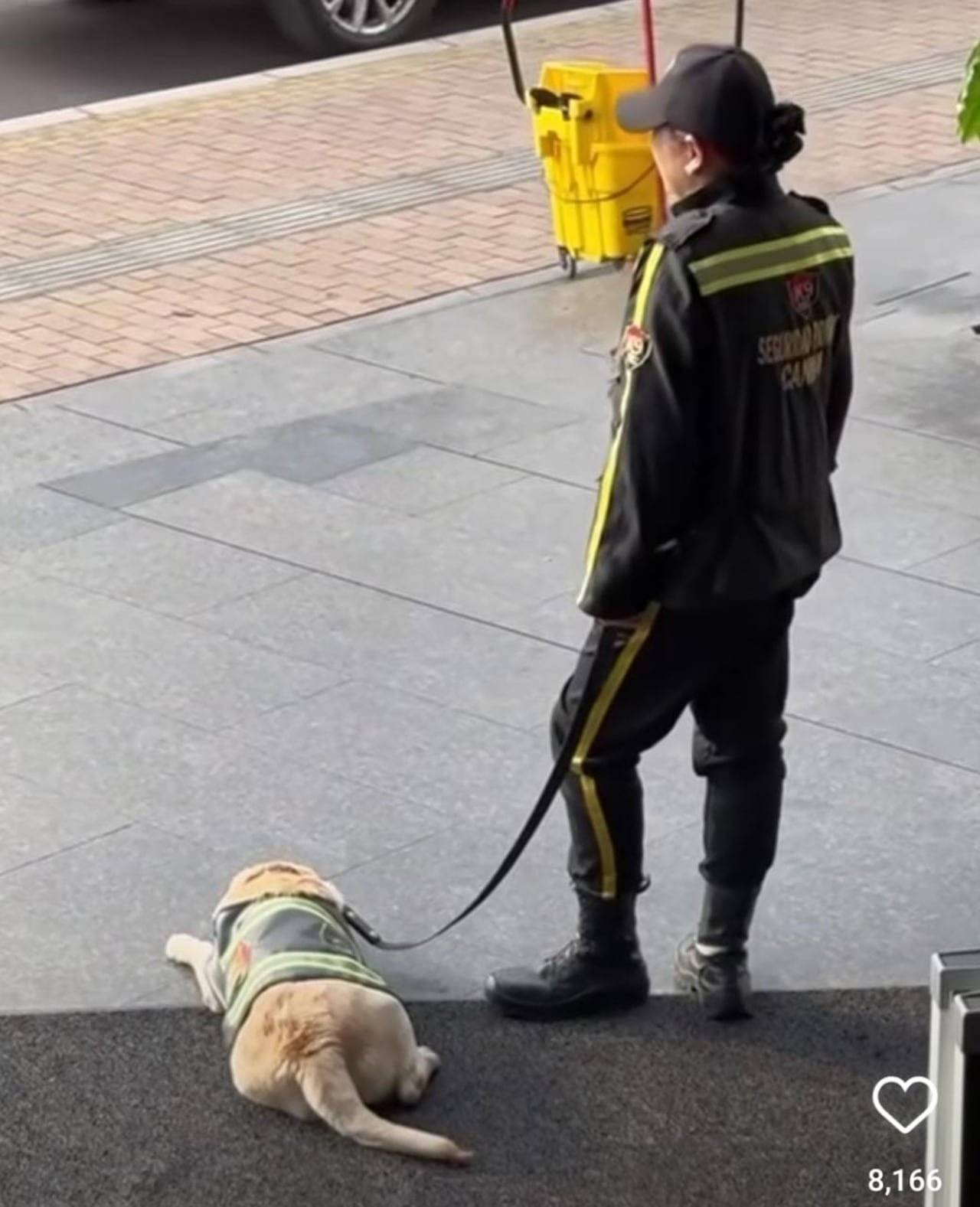 Denuncian supuesto maltrato de perro en Centro Comercial Andino