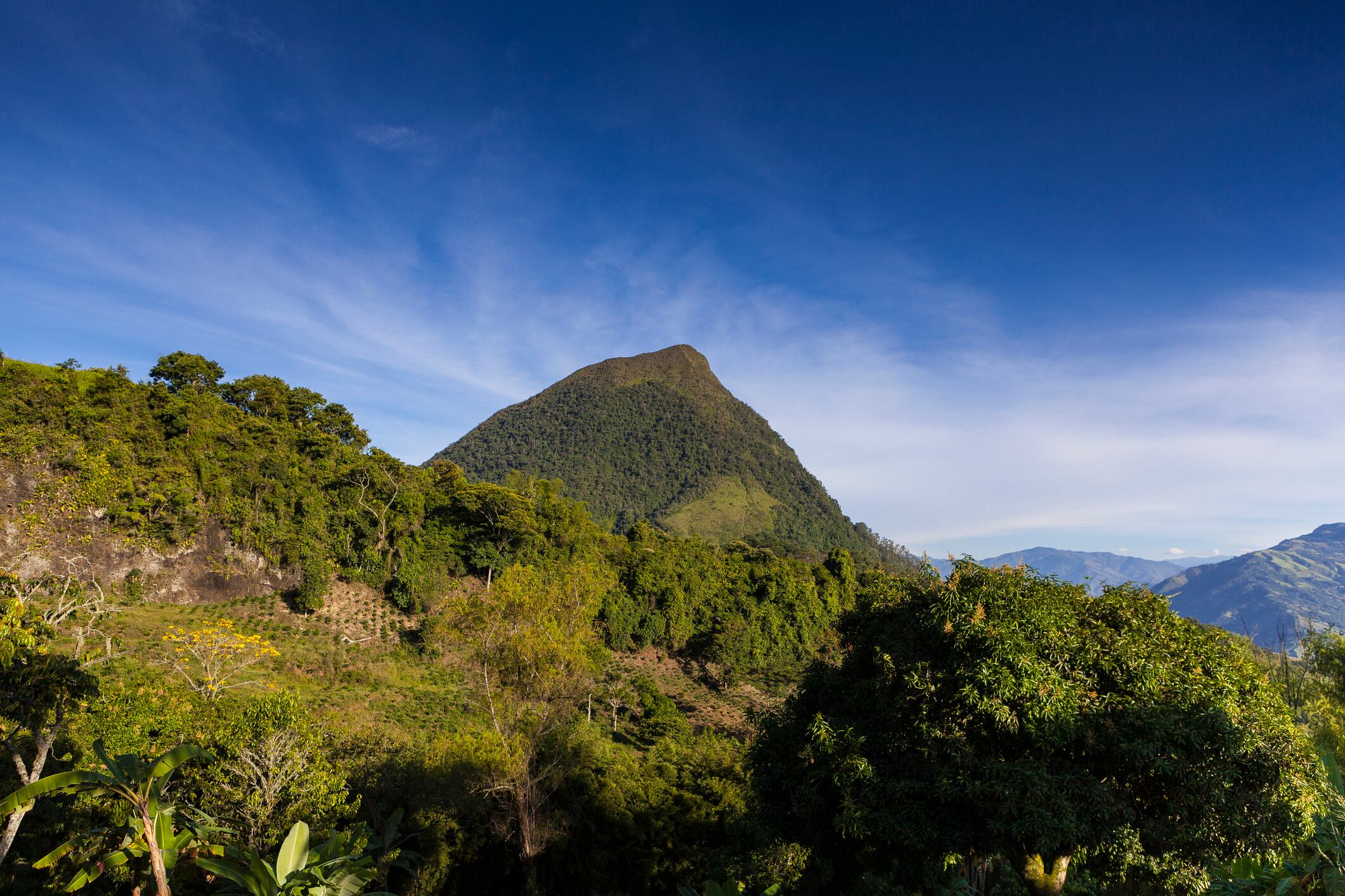Cerro Tusa, en Antioquia.