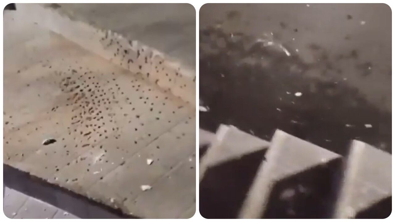 En la madrugada del sábado 31 de mayo se registró un atentado con granada en Piendamó, Cauca.