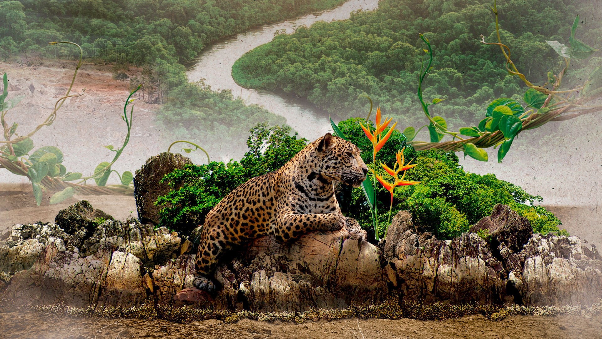 VIII Cumbre de Sostenibilidad