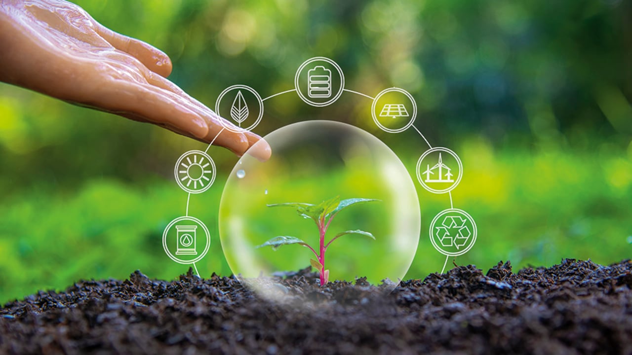 Imagen de referencia