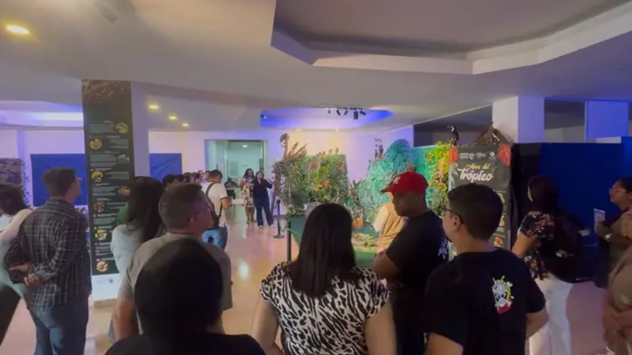 Museo de Ciencias Naturales, Valle del Cauca