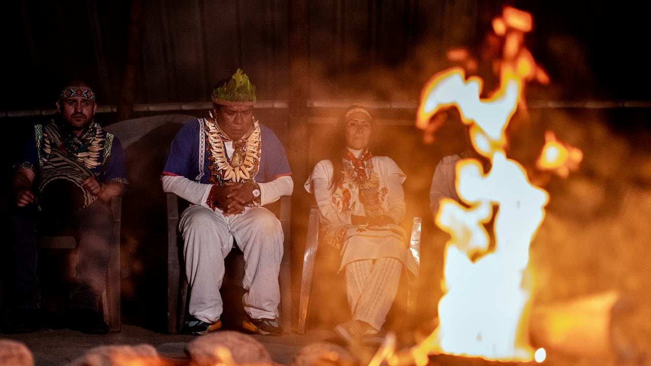 Colombianos y extranjeros que quieren aliviar malestares del cuerpo y el espíritu beben en un ritual la preparación hecha con plantas alucinógenas de la Amazonía. Algunas de ellas contienen Dimetiltriptamina (DMT), un compuesto psicoactivo natural, pero prohibido en la legislación mexicana por ser "susceptible" de un "uso indebido".