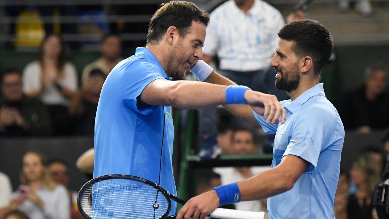 Del Potro y Djokovic