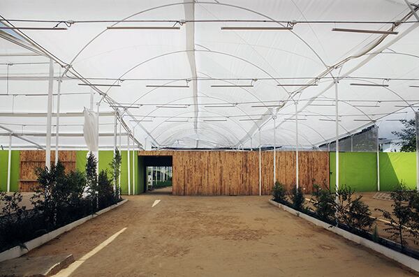 Hecha por Fidel Mendoza.