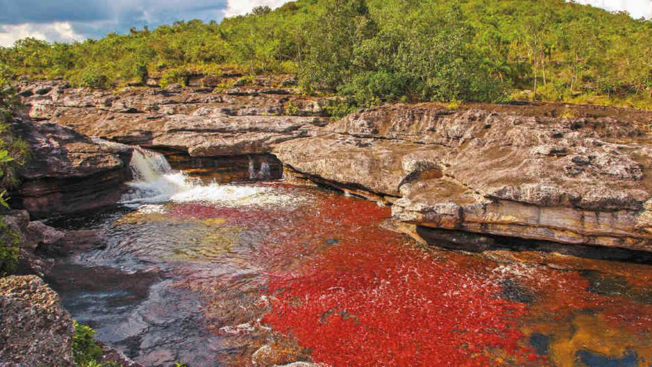 La reactivación del turismo nacional es el primer paso para lograr la recuperación de este sector.