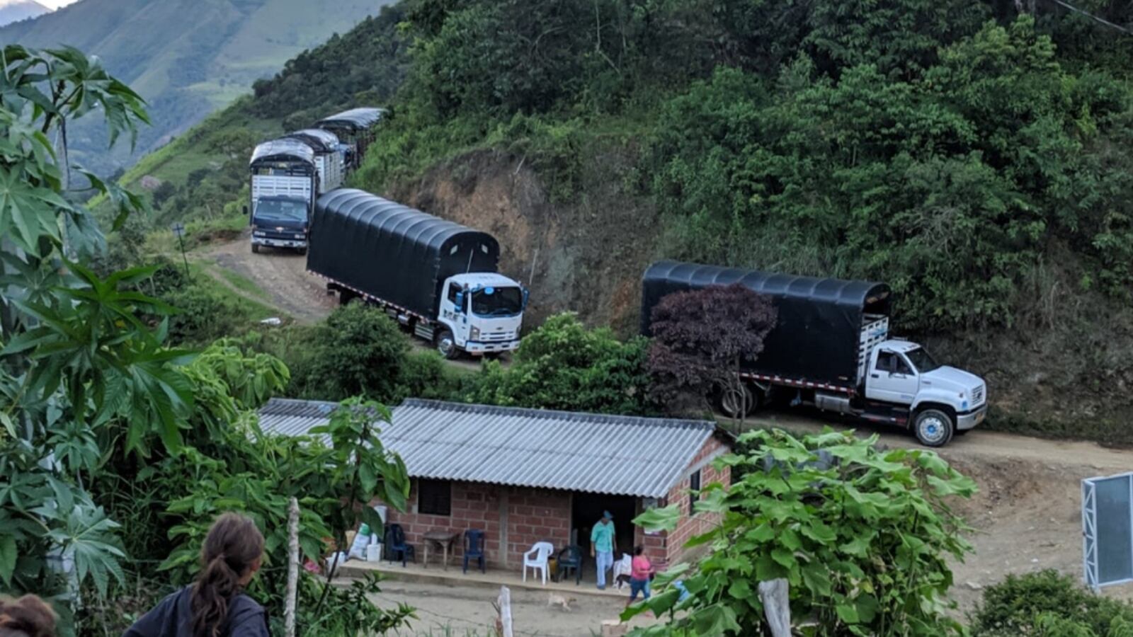 Buses y camiones llegaron hasta la vereda de Santa Lucía, en Ituango, para trasladar a los excombatientes y sus familias a Mutatá.