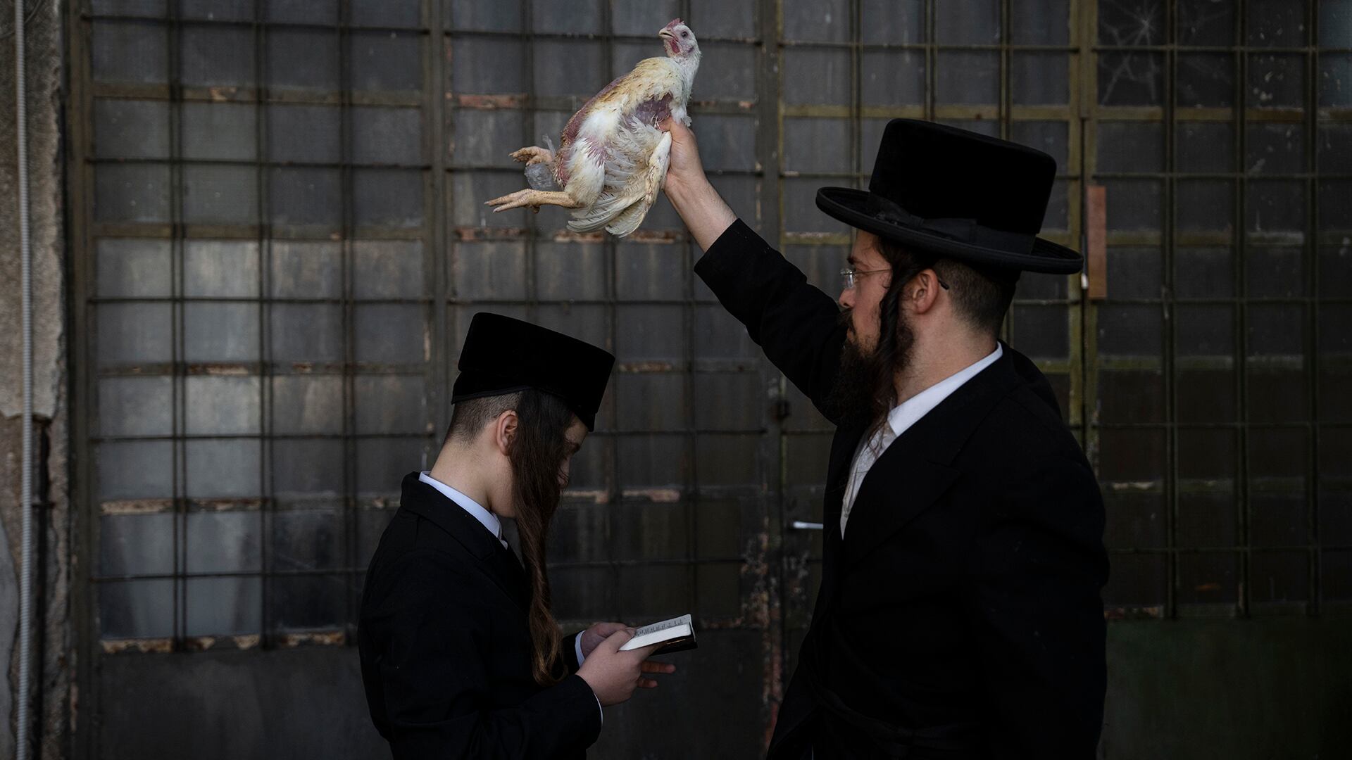 Fotos de la semana 11 octubre