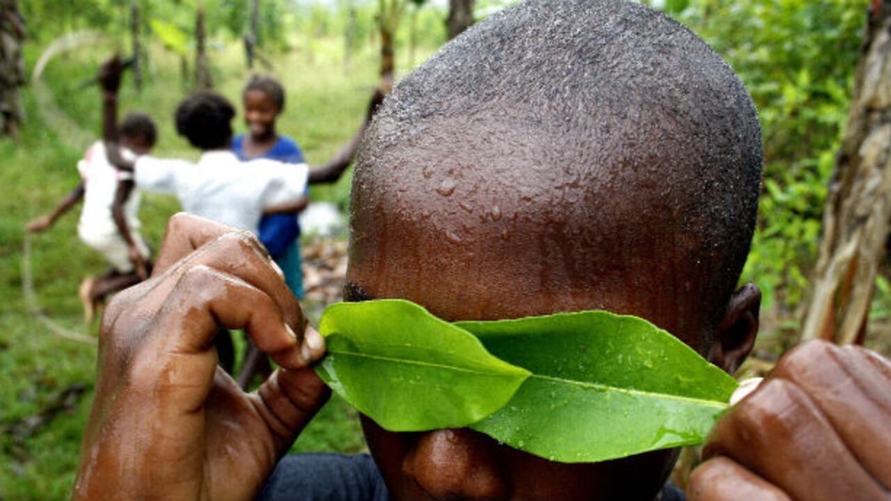Esta fotografía fue tomada en un cultivo de hoja de coca.