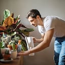 Aprenda sobre los 5 fallos comunes al regar las plantas que se encuentran en su hogar.