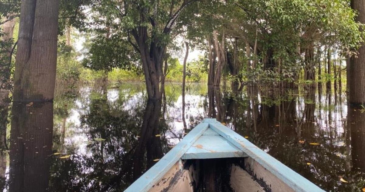 Las nubes son impulsadas por el viento y, al ser bloqueadas por la Cordillera de los Andes, riegan con lluvias buena parte de América Latina.