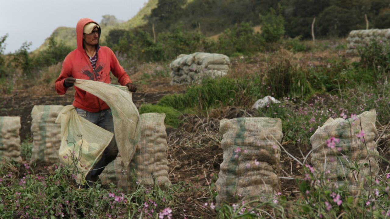 Redireccionar recursos involucrados en proyectos de largo plazo relacionados con el campo, se convertiría en una opción rentable que garantizaría utilidades promisorias.