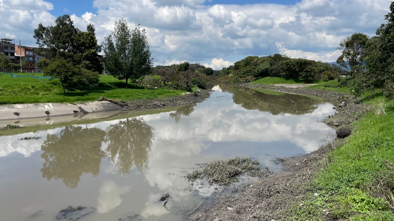 La Secretaría de Ambiente intensificó sus labores de control, vigilancia y seguimiento.