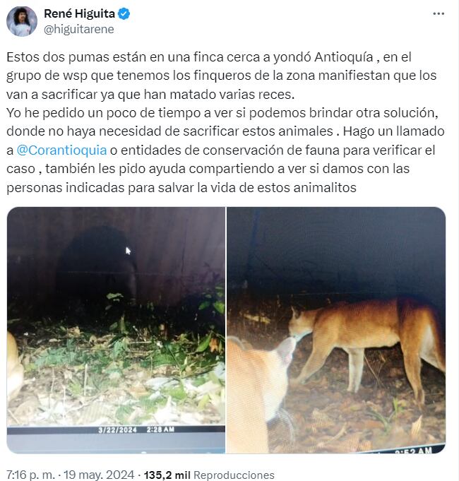 Denuncia de René Higuita