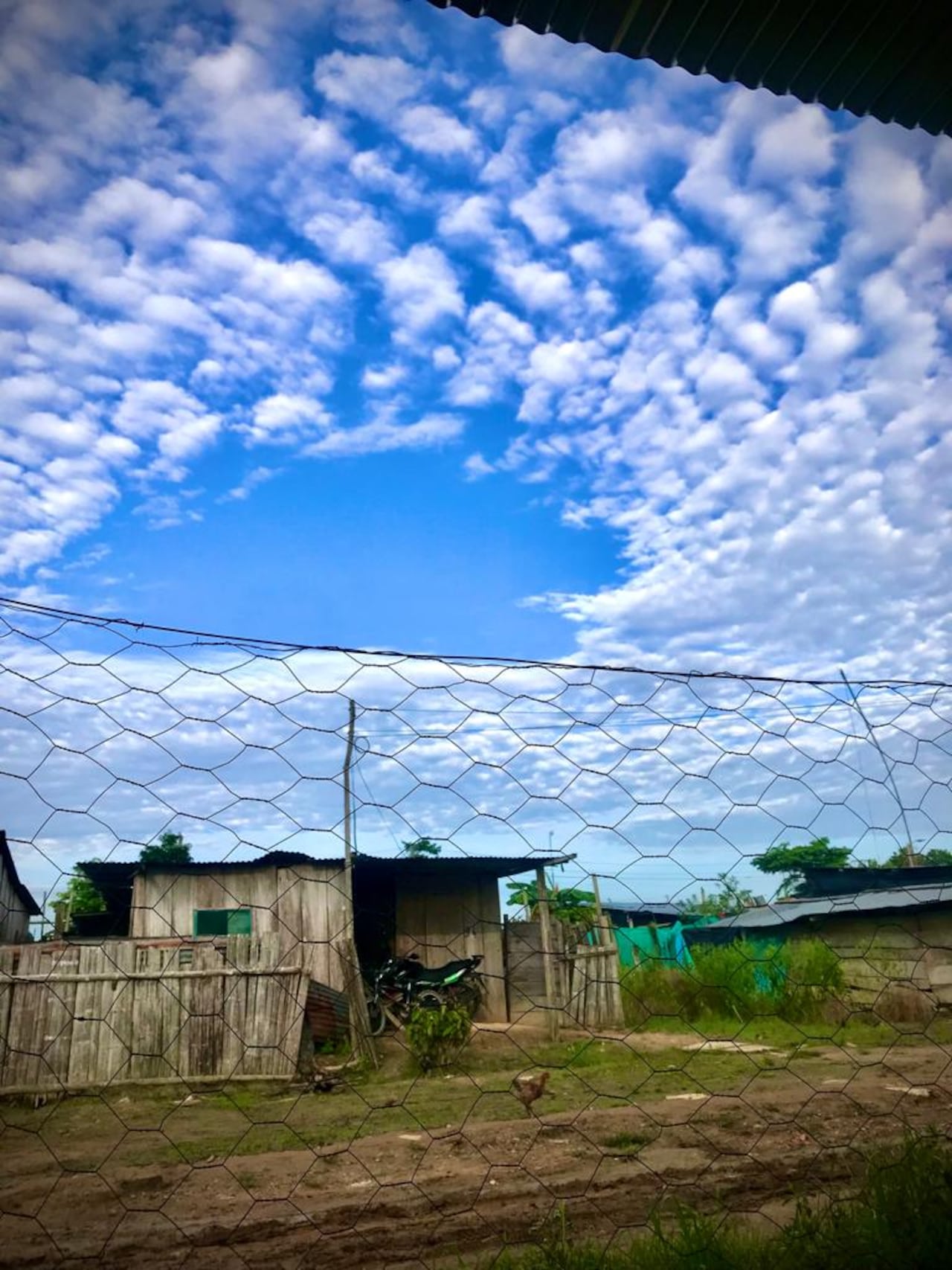 Arauquita en medio del conflicto