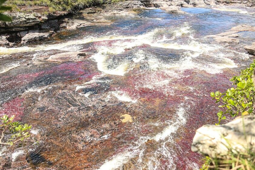 Río Caño Cristales, La Macarena (Meta)