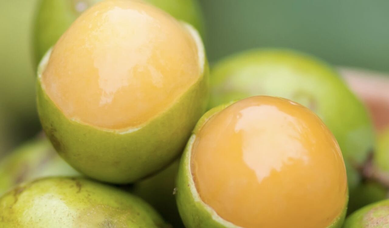 Su gran contenido de fibra lo hace un aliado del aparato digestivo