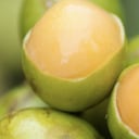 Su gran contenido de fibra lo hace un aliado del aparato digestivo