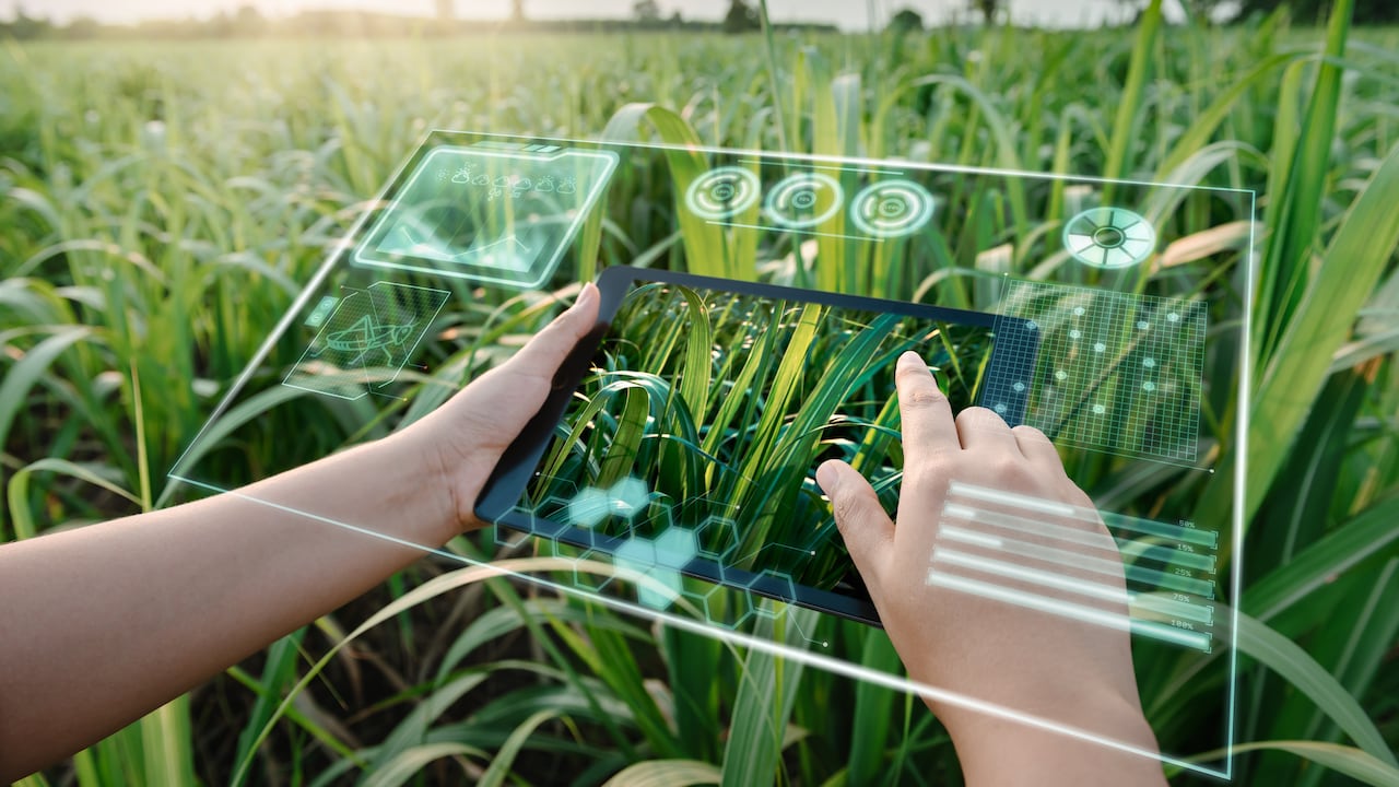 Esta tecnología impulsará la competitividad y sostenibilidad de cultivos clave de exportación como café, flores y banano.