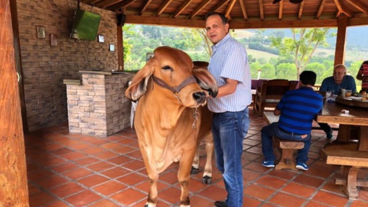 El Ñeñe Hernández