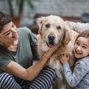 Los expertos consideran valioso, en estos tiempos, educar y sensibilizar a las personas sobre las consecuencias de esta humanización.