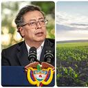 "Los campesinos necesitan tierra con vocación agropecuaria. Bienvenidos a la economía forestal, pero necesitamos el bosque para eso", sostiene Julia Miranda del proyecto de Jurisidicción Agraria.