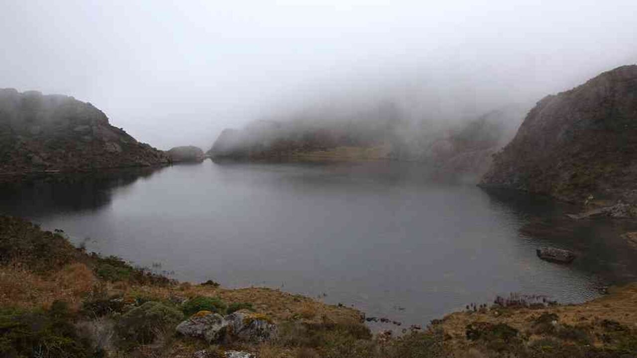 Foto: Archivo Publicaciones Semana.