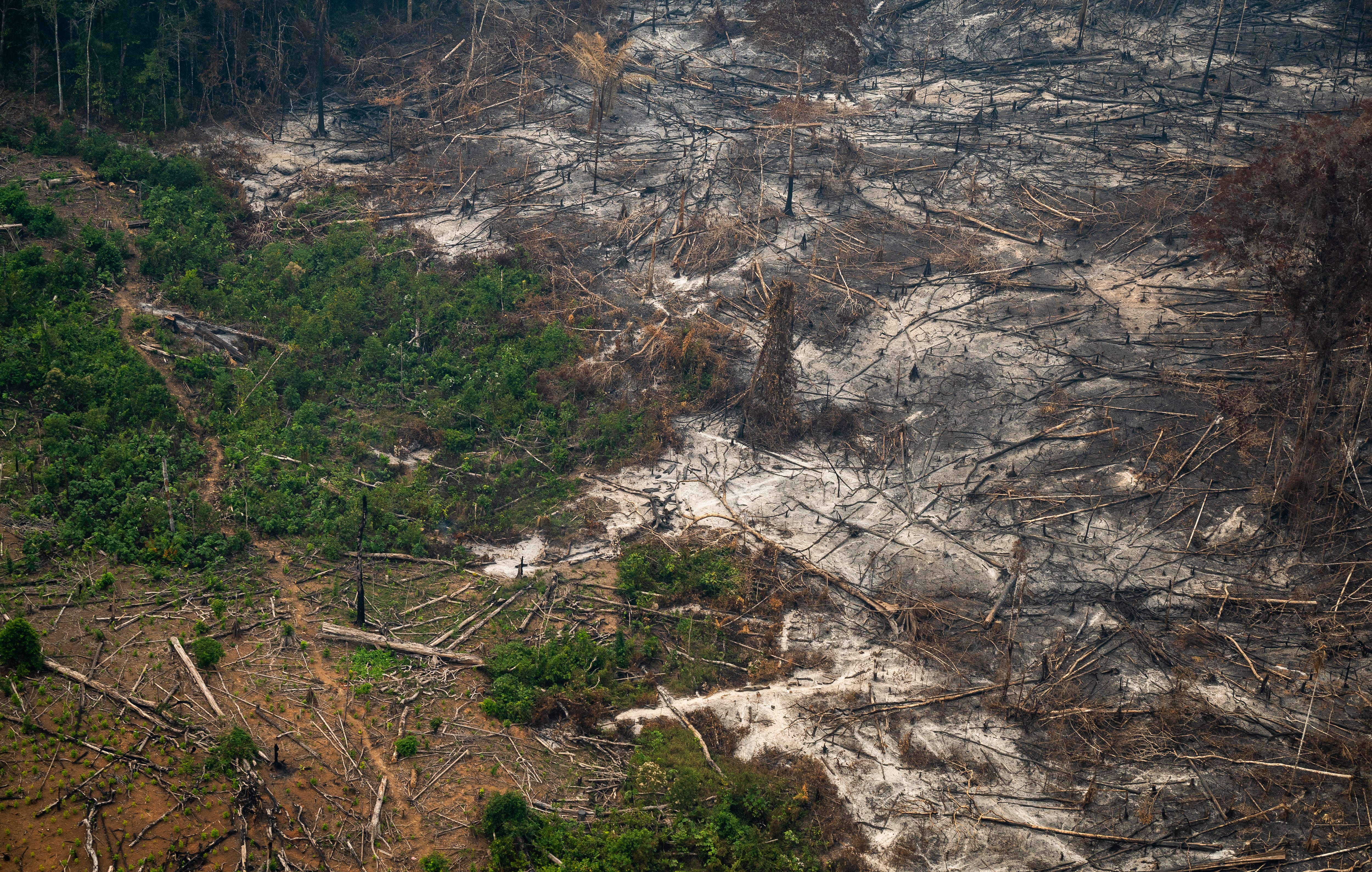 Son más de 70 focos de incendio en este departamento