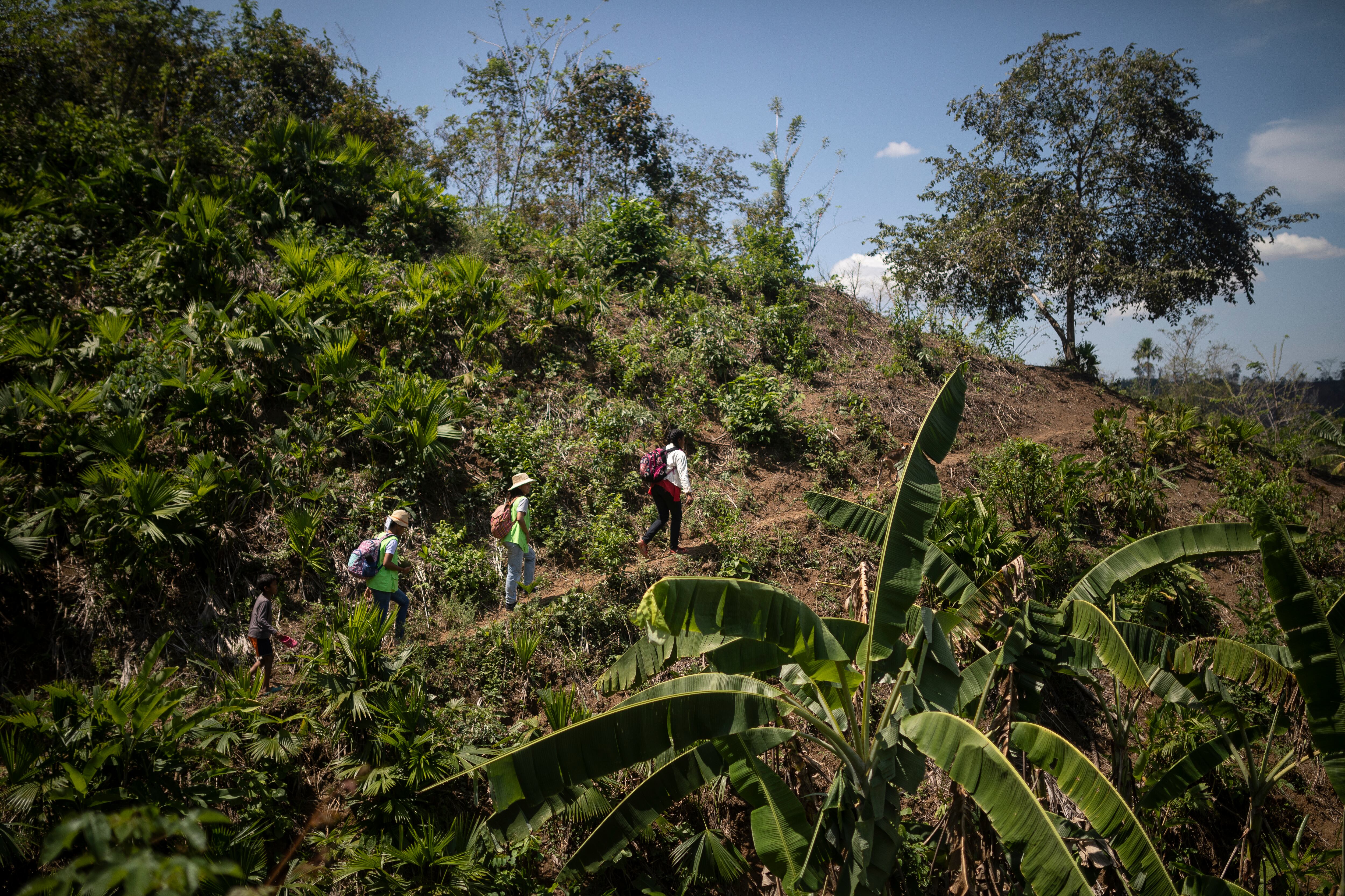 Montes de María - Carmen de Bolivar