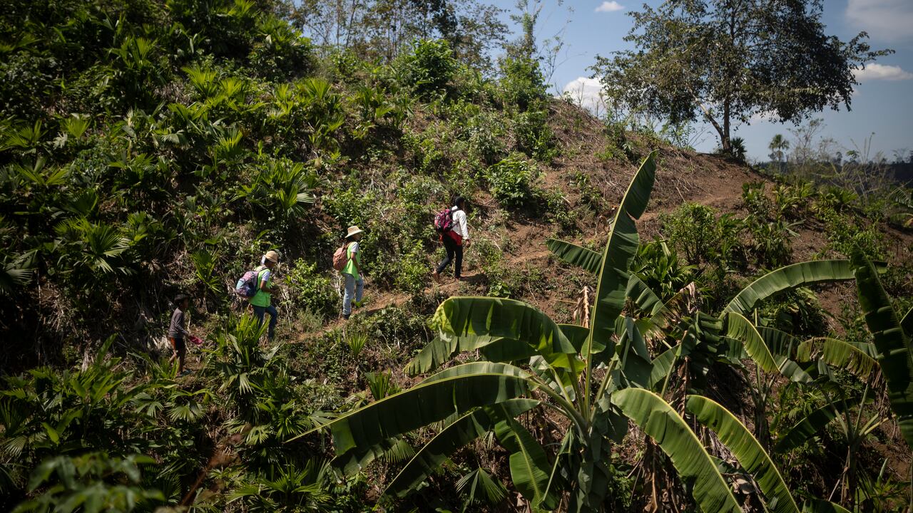Montes de María - Carmen de Bolivar
23 DE FEBRERO 2021
FOTO: ESTEBAN VEGA LA-ROTTA
REVISTA SEMANA