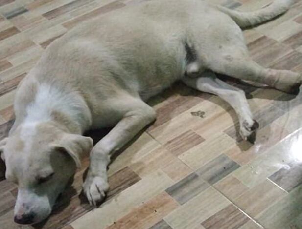 El ataque ocurrió en el corregimiento El Centro.